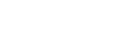 Digital Serbia Initiative